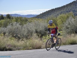 Menorial León Sanchez